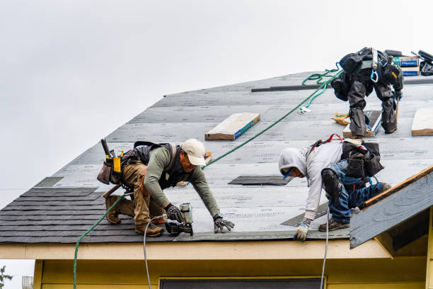 Professional Roofing technician working in Paris, ID